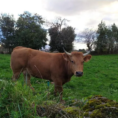 Séjour à la campagne Casa Pepin - Sagasta Rural *