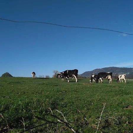 Casa Pepin - Sagasta Rural Oviede