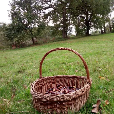 Casa Pepin - Sagasta Rural *