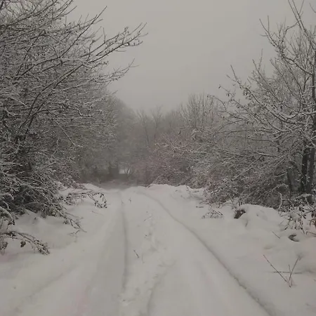 Casa Pepin - Sagasta Rural Séjour à la campagne