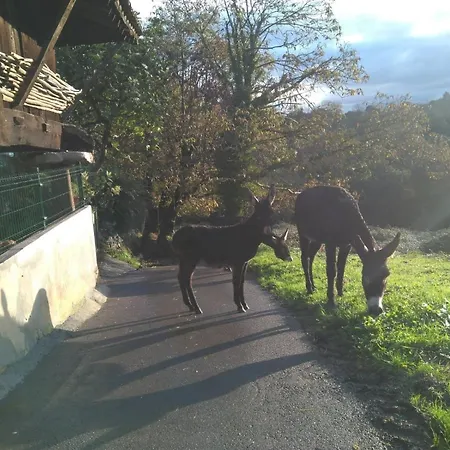 منزل ريفي Casa Pepin - Sagasta Rural *