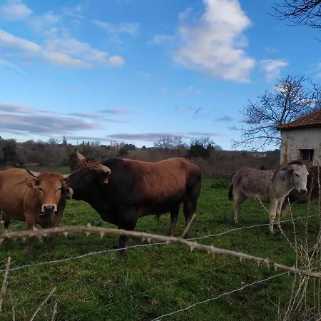 منزل ريفي Casa Pepin - Sagasta Rural