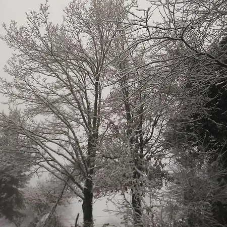 Casa Pepin - Sagasta Rural منزل ريفي
