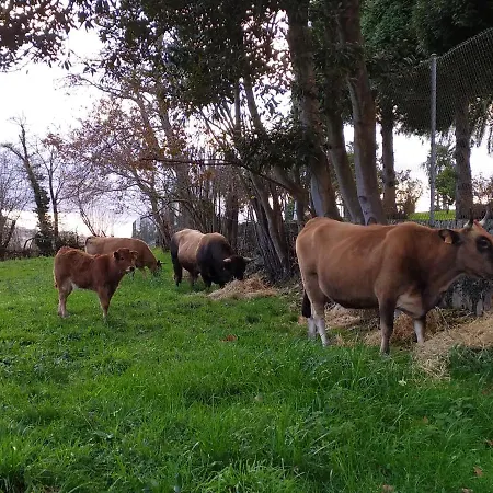 Casa rural Casa Pepín - Sagasta Rural Oviedo