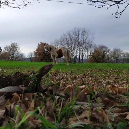 Casa Pepin - Sagasta Rural