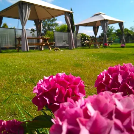 Casa Pepin - Sagasta Rural *