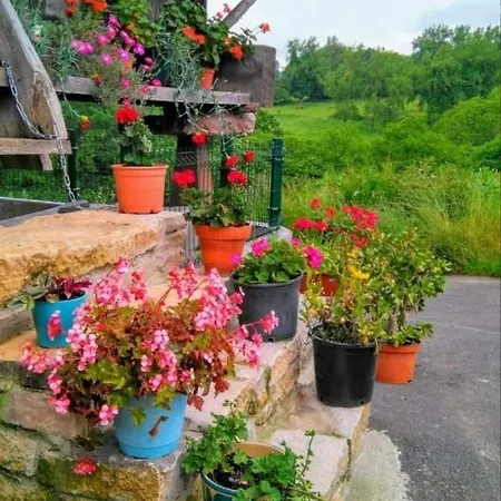 Casa Pepin - Sagasta Rural